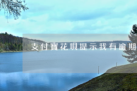 支付寶花唄提示我有逾期，如何解決？